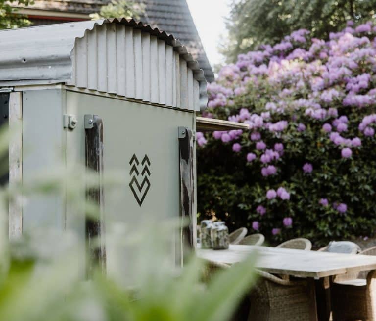 THH_random-summer-24